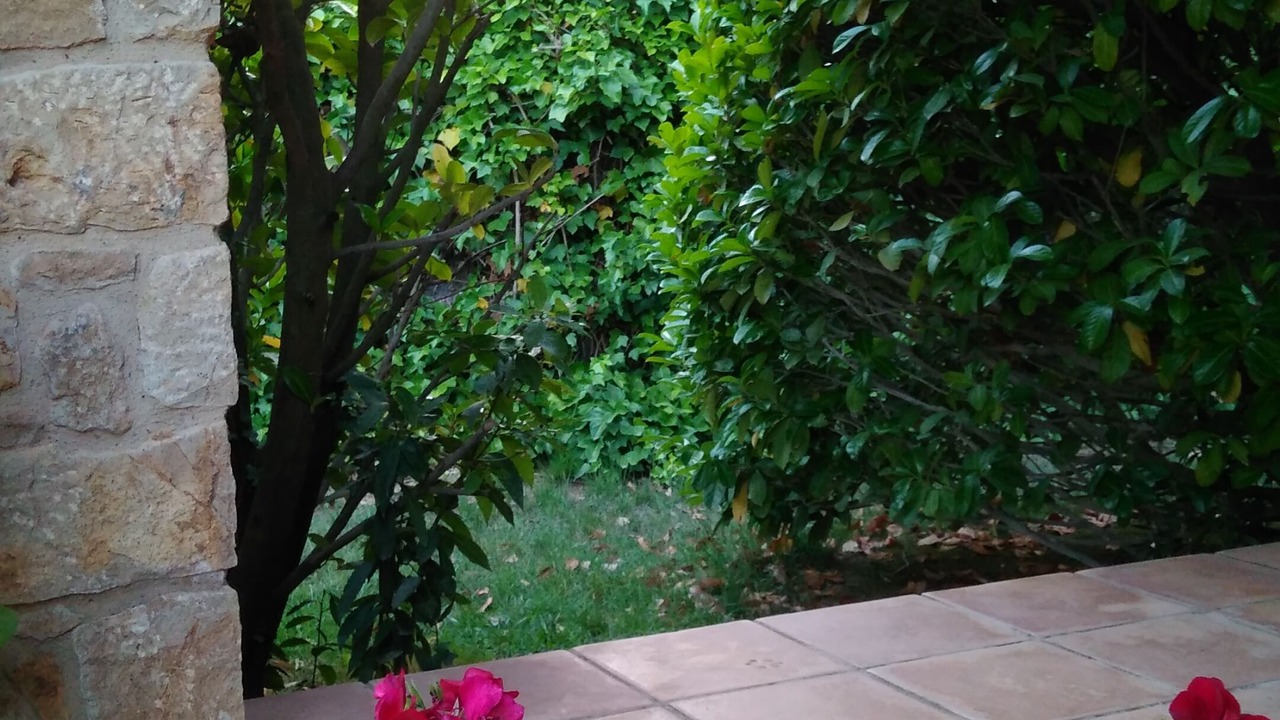 Photo of Outdoor in Monells