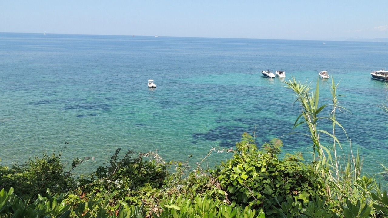 Photo of Others in Portoferraio