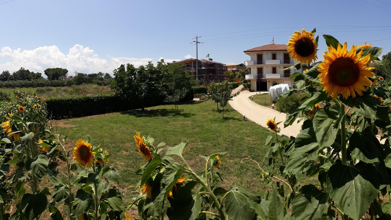 Photo of Outdoor in San Vito Chietino