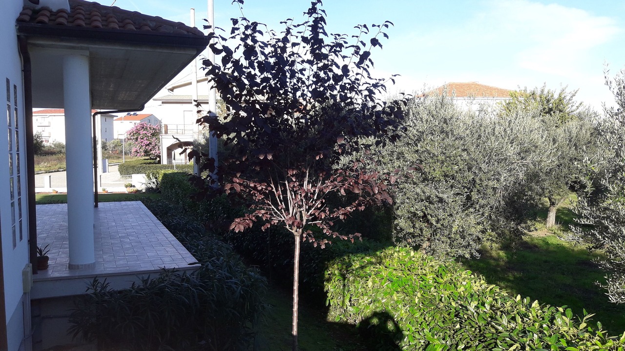 Photo of Outdoor in San Vito Chietino