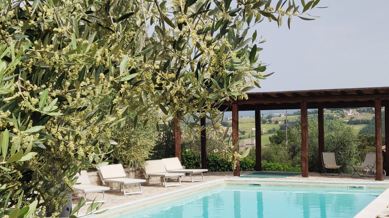 Photo of Outdoor in Todi