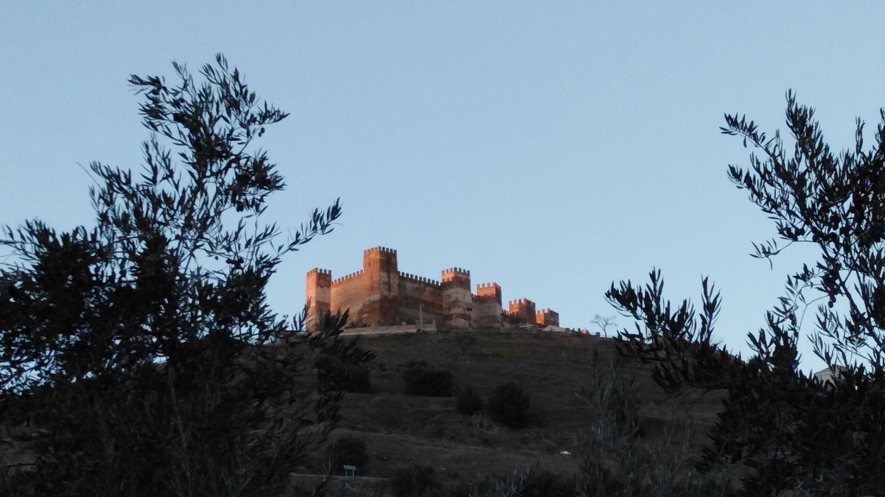 Photo of Others in El Altico