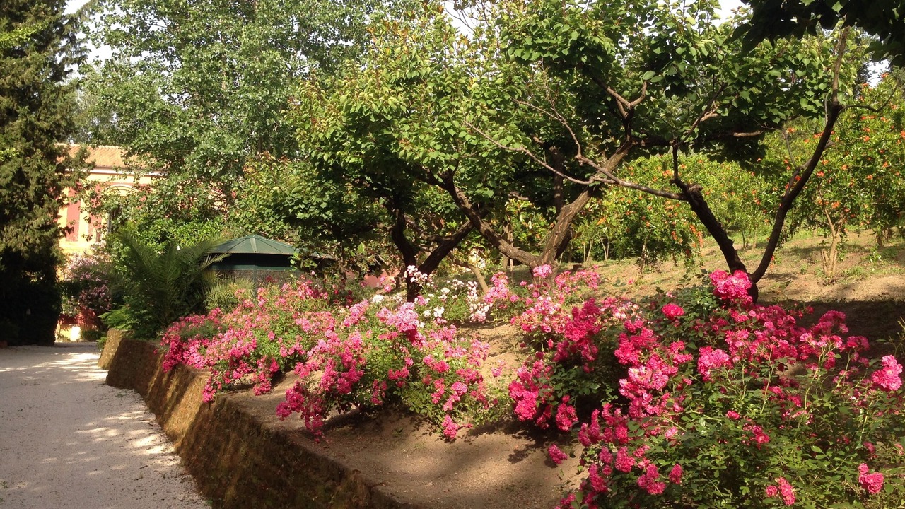 Photo of Outdoor in Nola