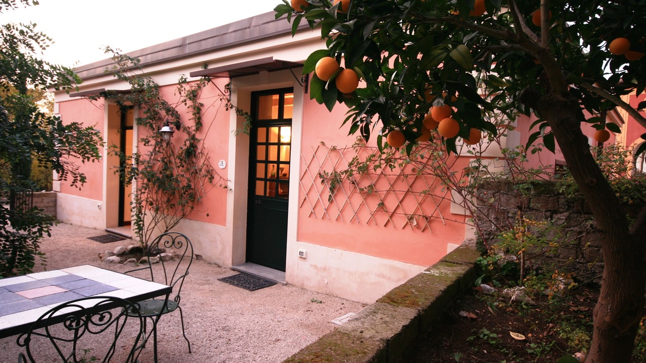 Photo of Outdoor in Nola