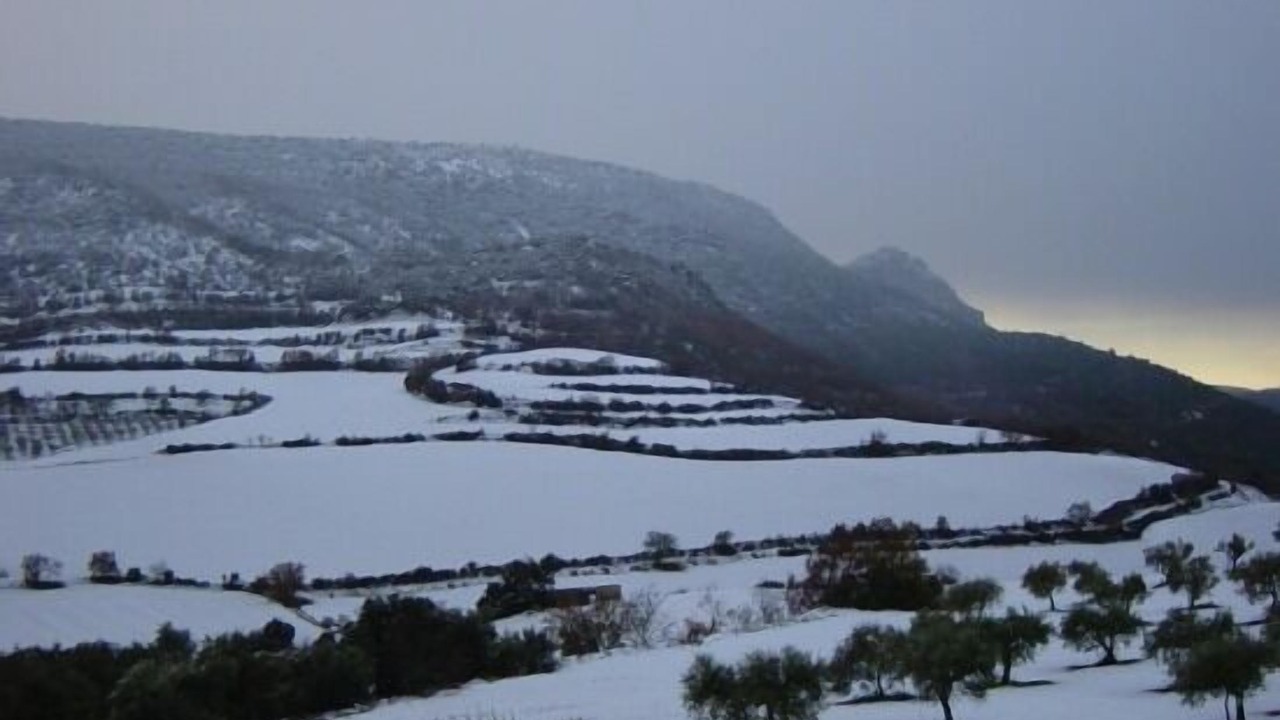 Photo of Outdoor in Os de Balaguer