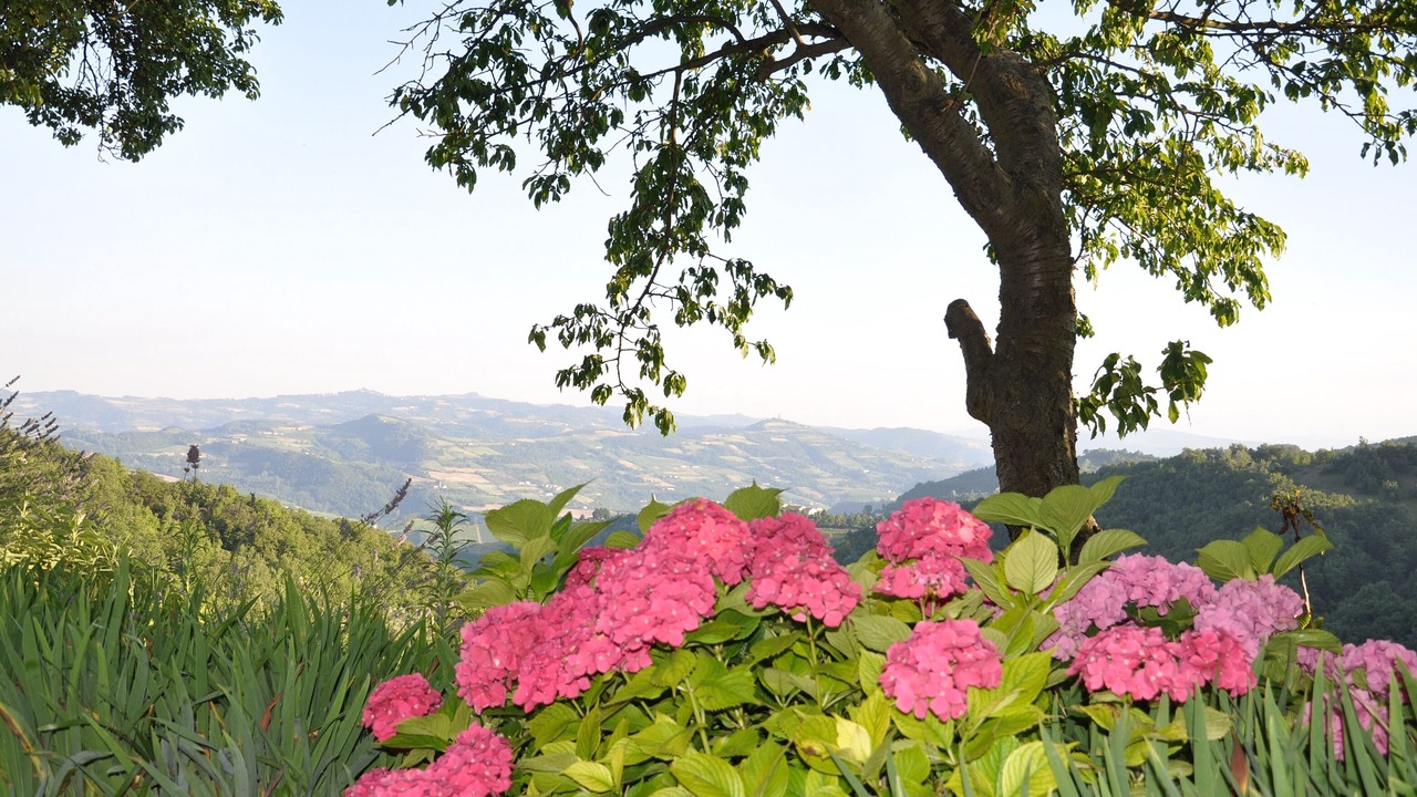 Photo of Outdoor in Loazzolo