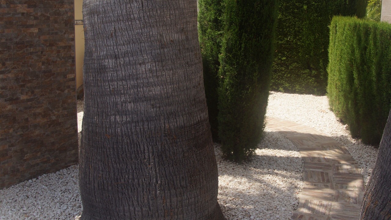 Photo of Outdoor in Quesada