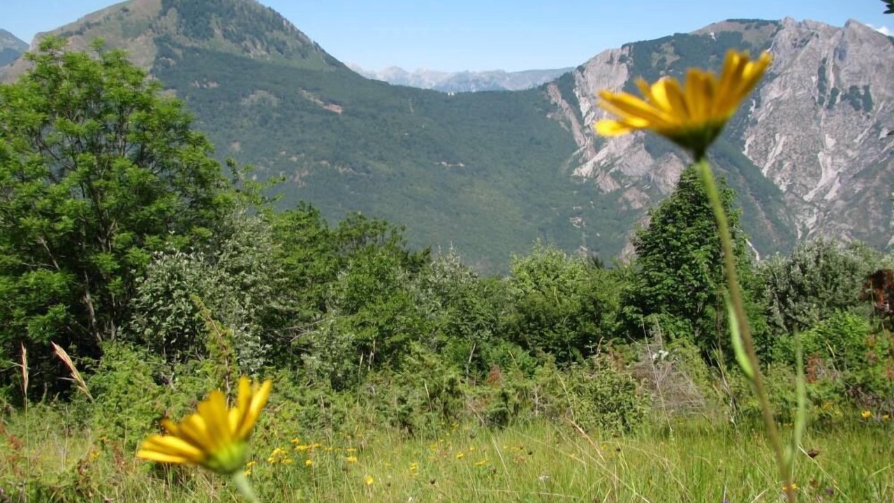 Photo of Outdoor in Valdieri