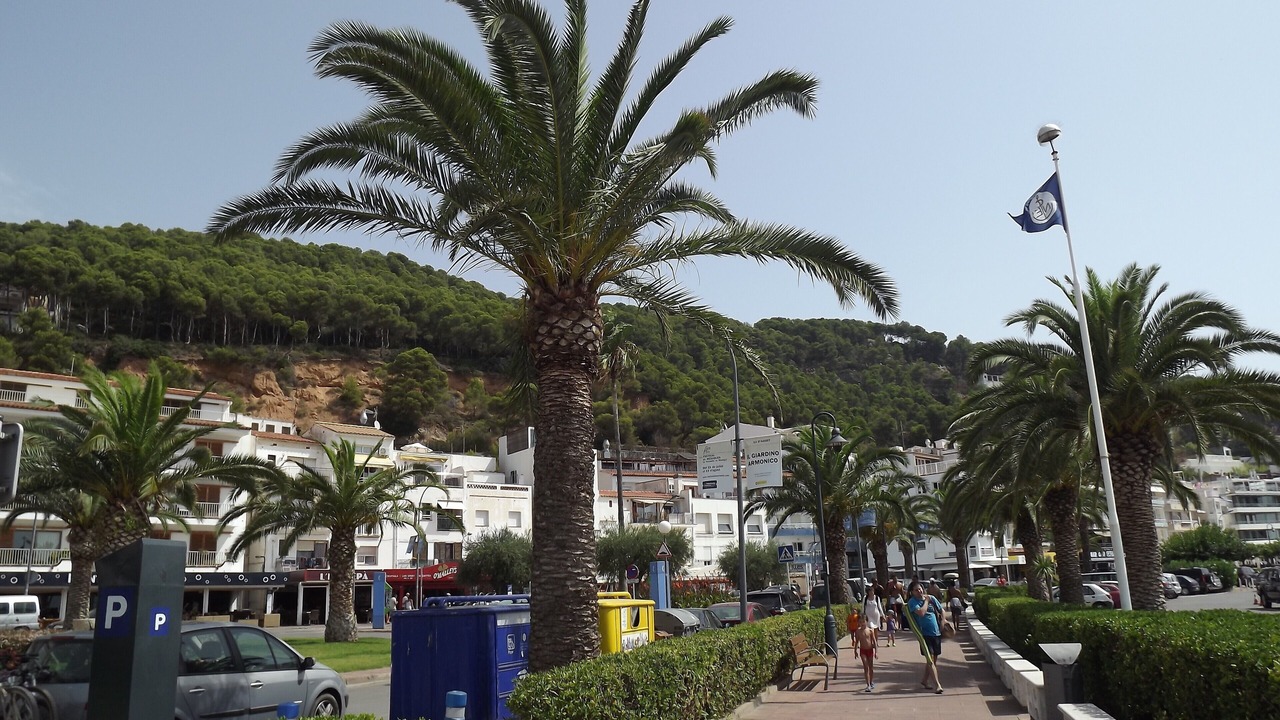Photo of Others in Torroella de Montgri