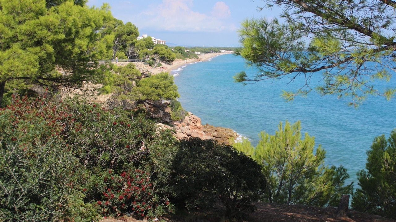 Photo of Others in Miami Platja