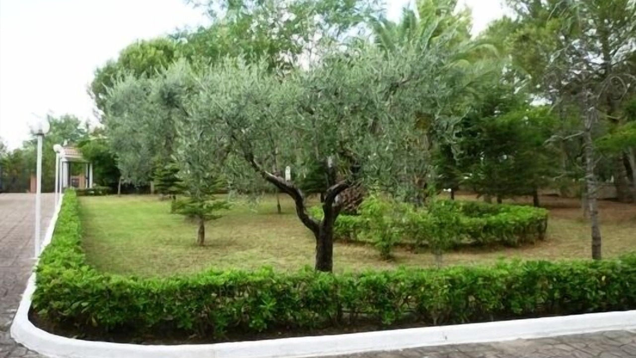 Photo of Outdoor in Pisticci