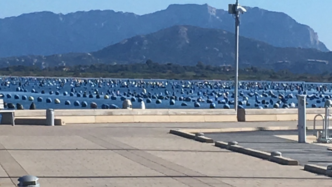 Photo of Others in Olbia