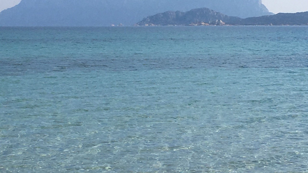 Photo of Others in Olbia