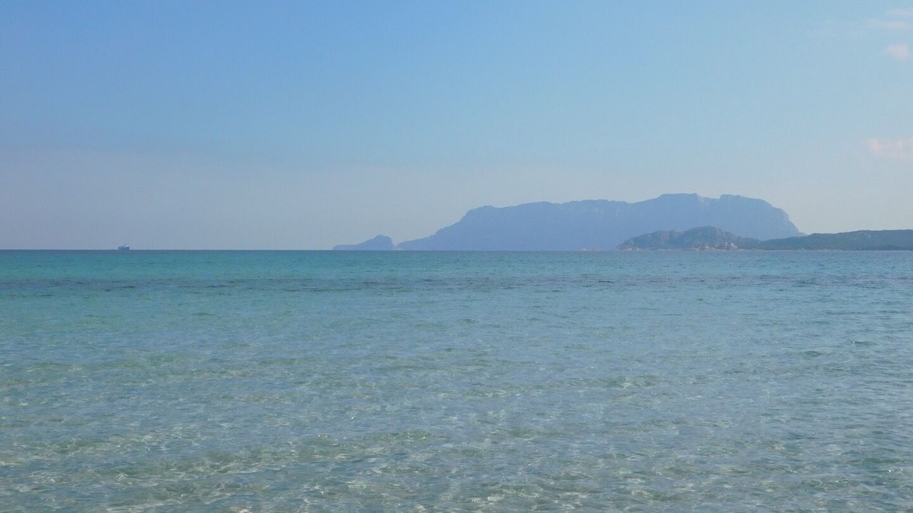 Photo of Others in Olbia