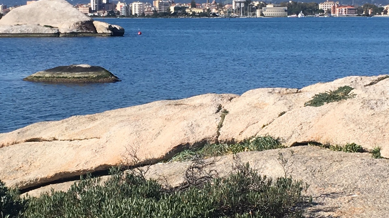 Photo of Others in Olbia