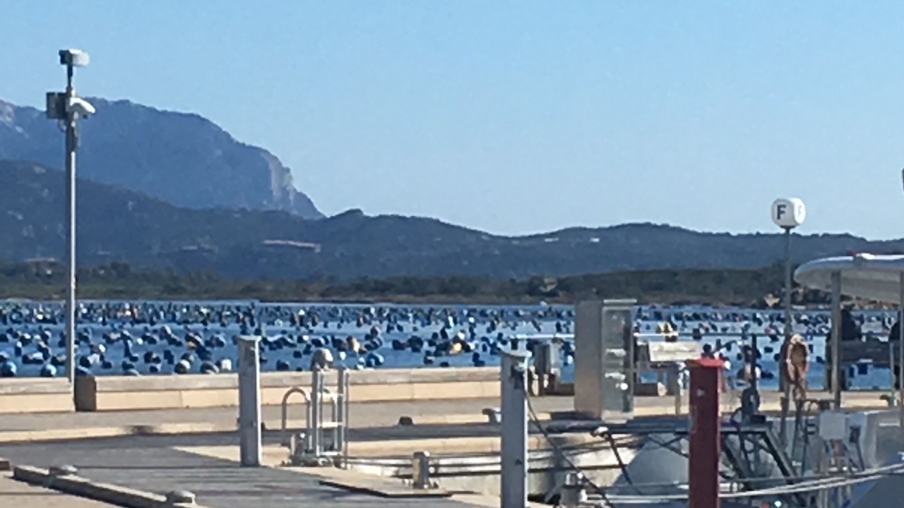 Photo of Others in Olbia
