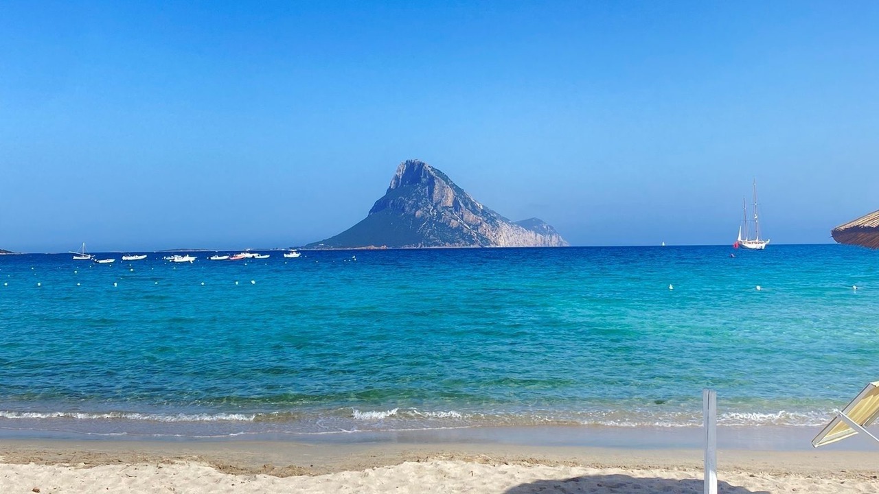 Photo of Others in Olbia