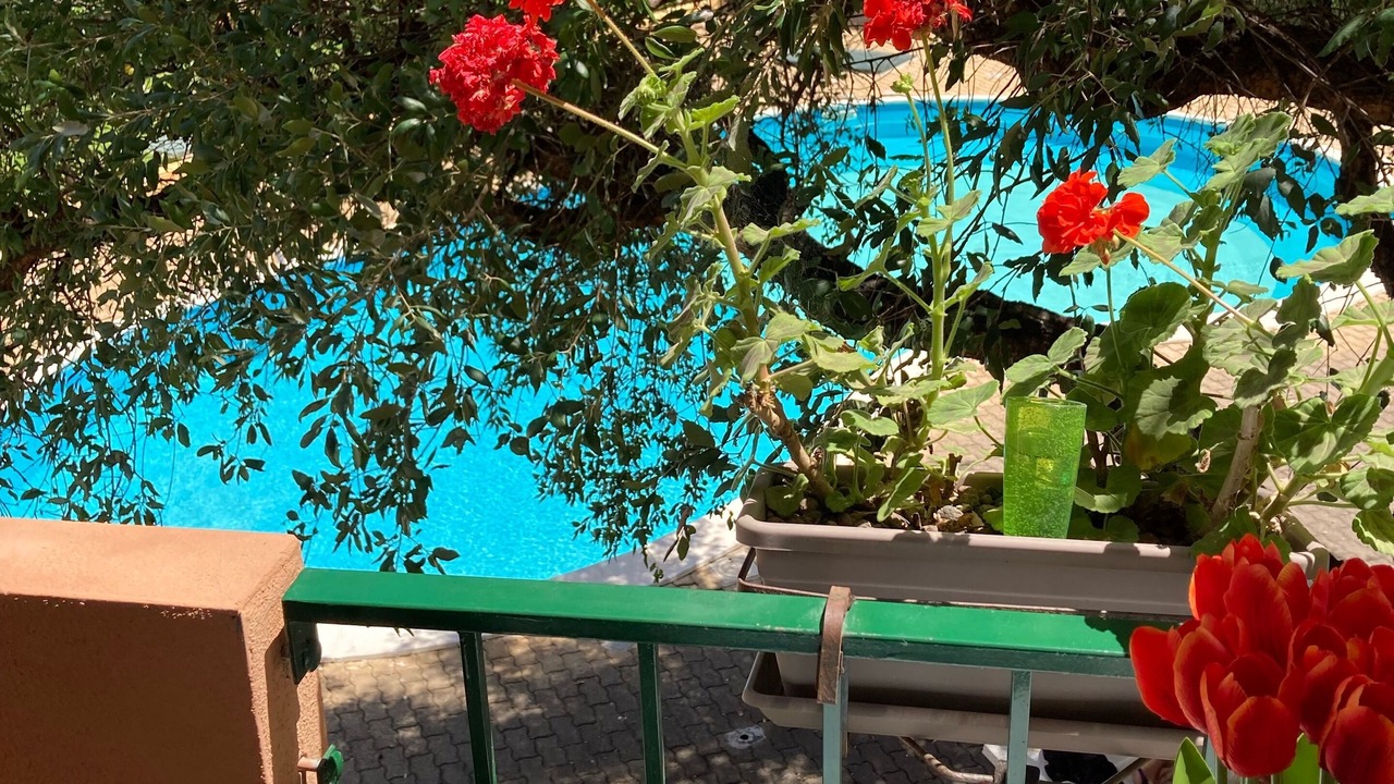 Photo of Outdoor in Olbia
