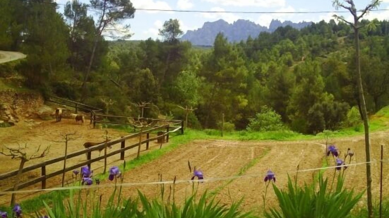 Photo of Outdoor in Sant Salvador de Guardiola