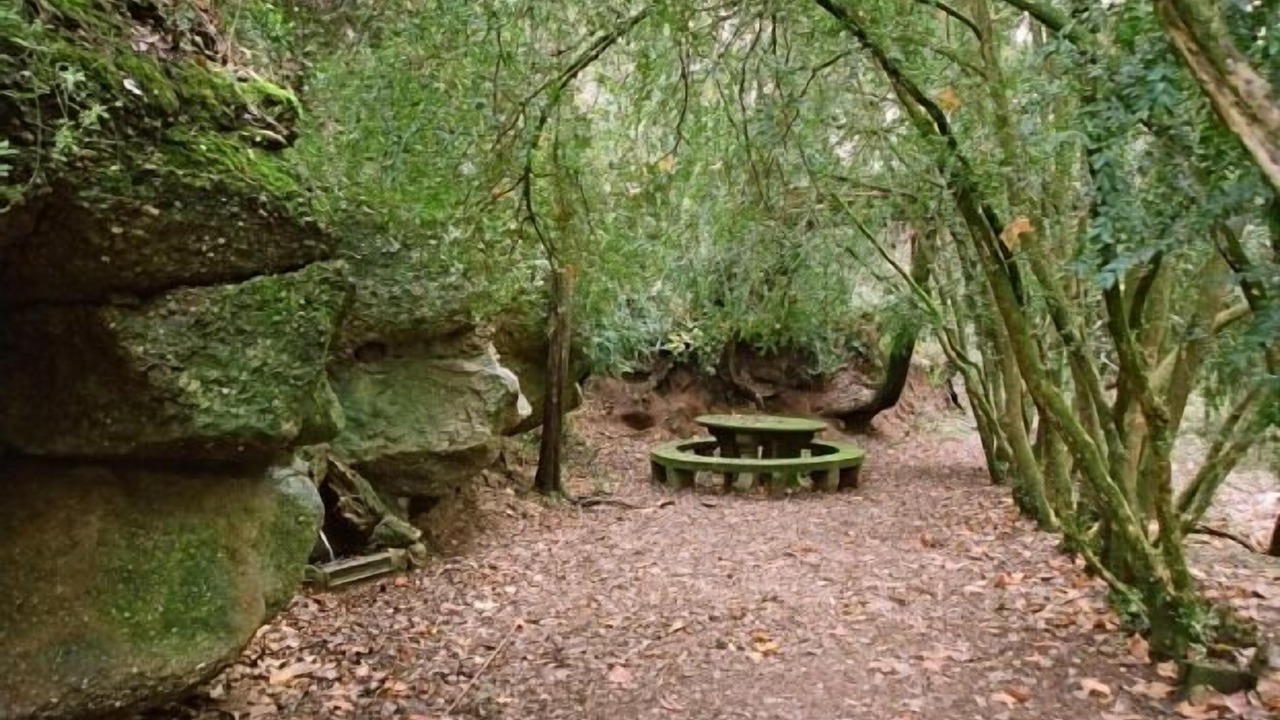 Photo of Outdoor in Sant Salvador de Guardiola
