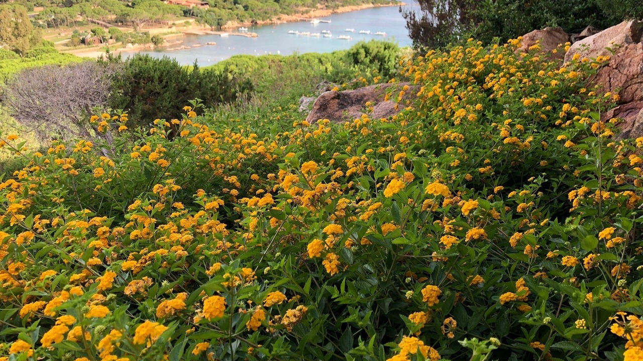 Photo of Outdoor in San Teodoro