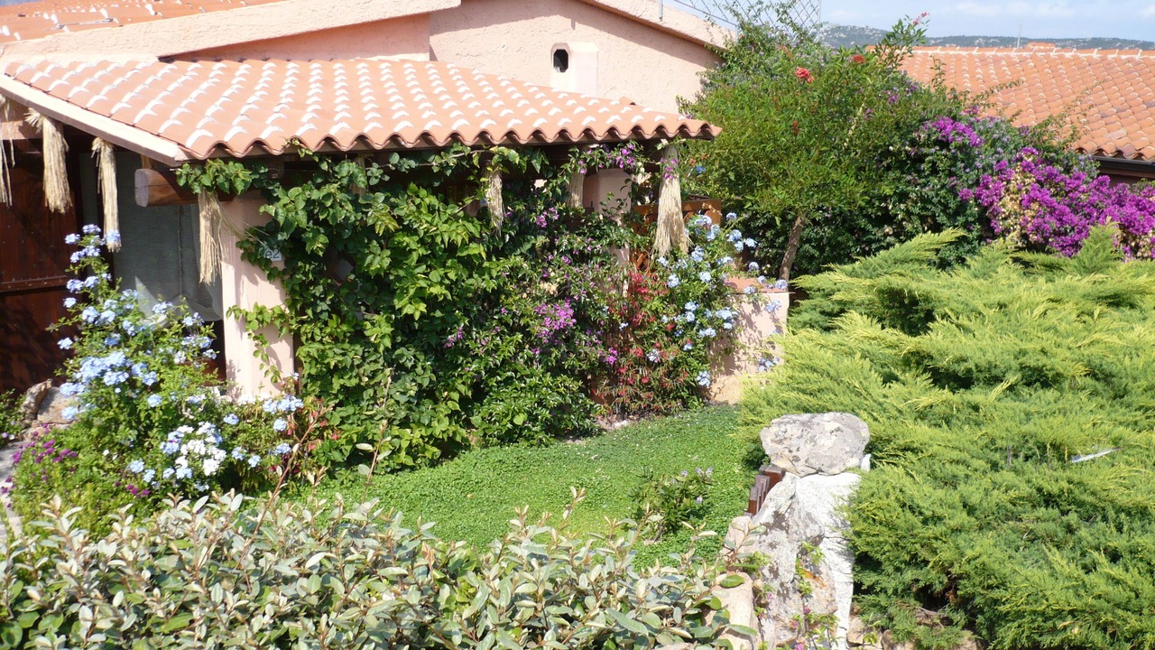 Photo of Outdoor in San Teodoro