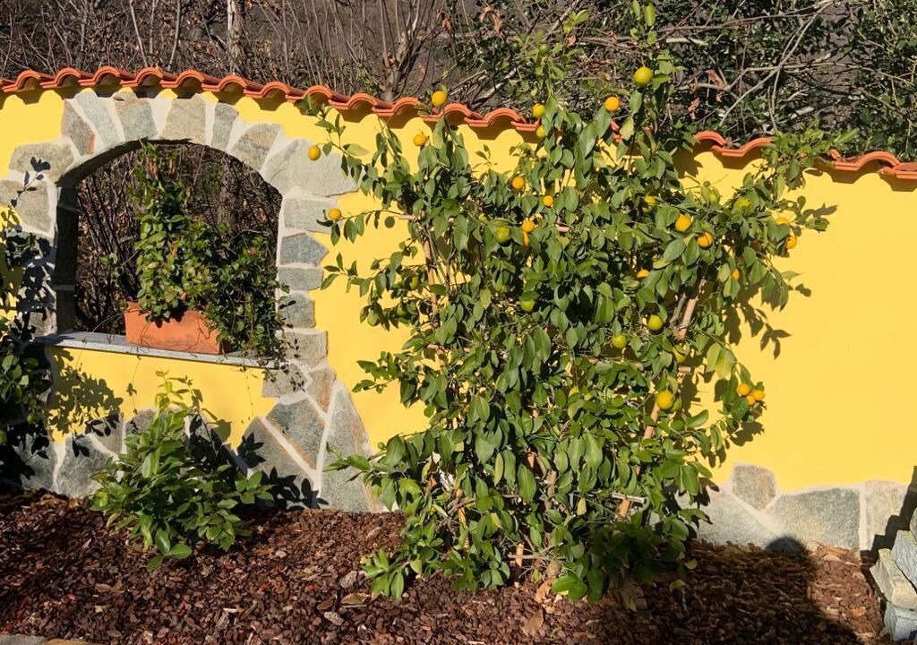 Photo of Outdoor in Novaglio