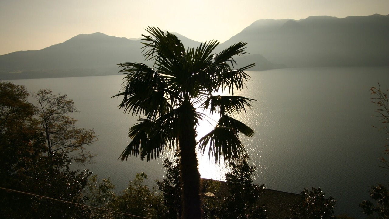 Photo of Outdoor in Novaglio