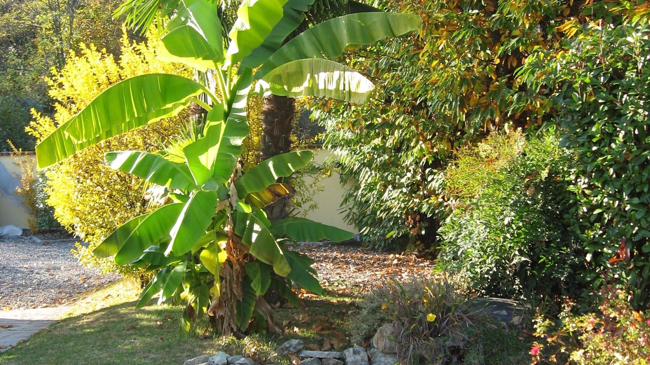 Photo of Outdoor in Novaglio