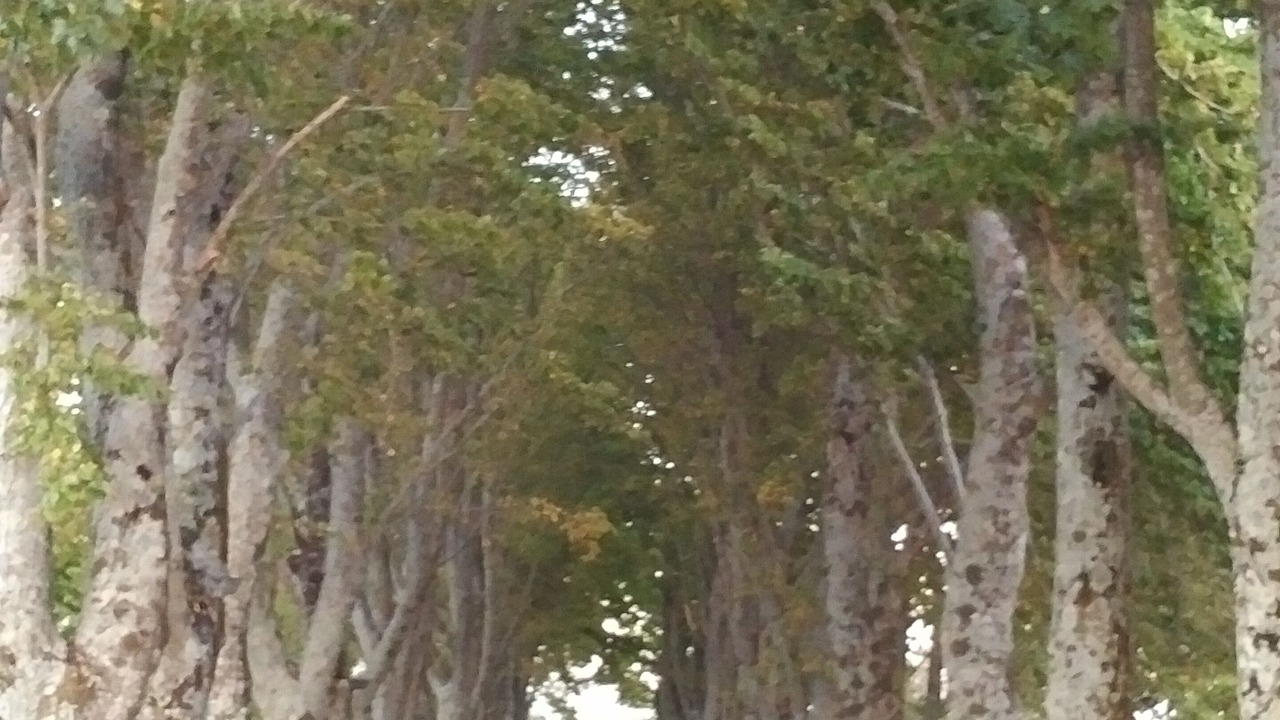 Photo of Outdoor in Pogerola