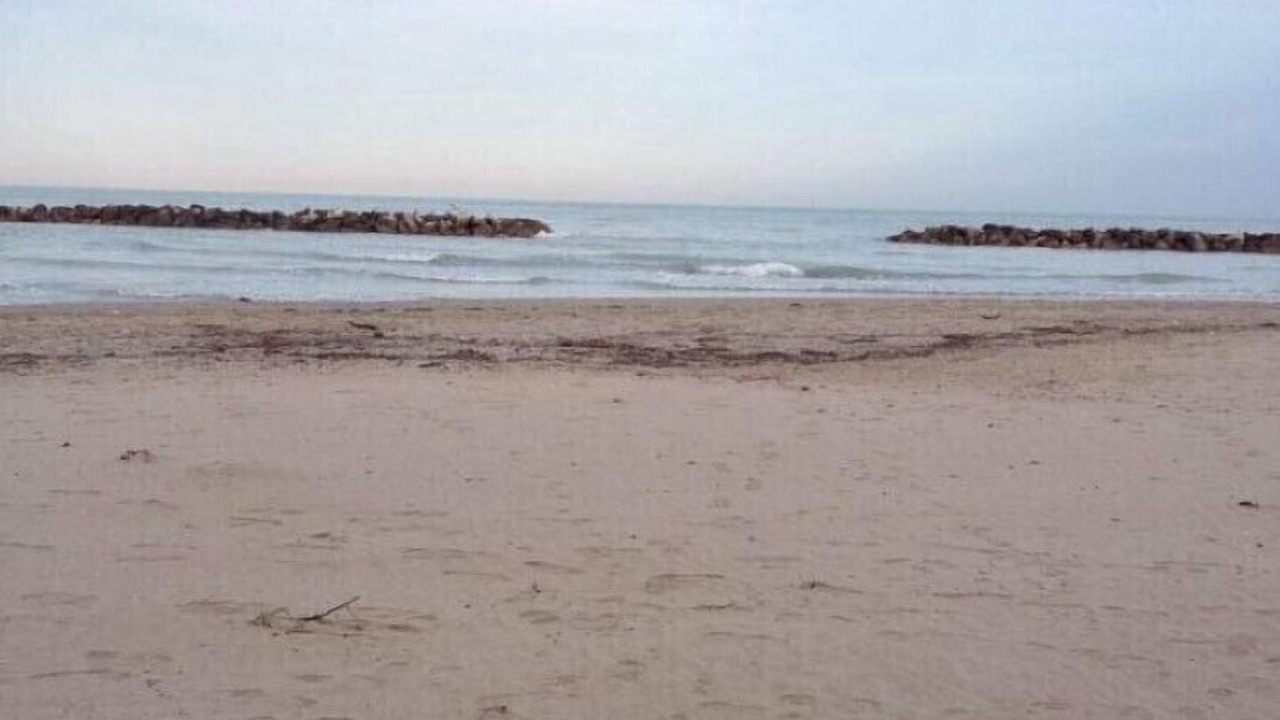 Photo of Others in Porto San Giorgio