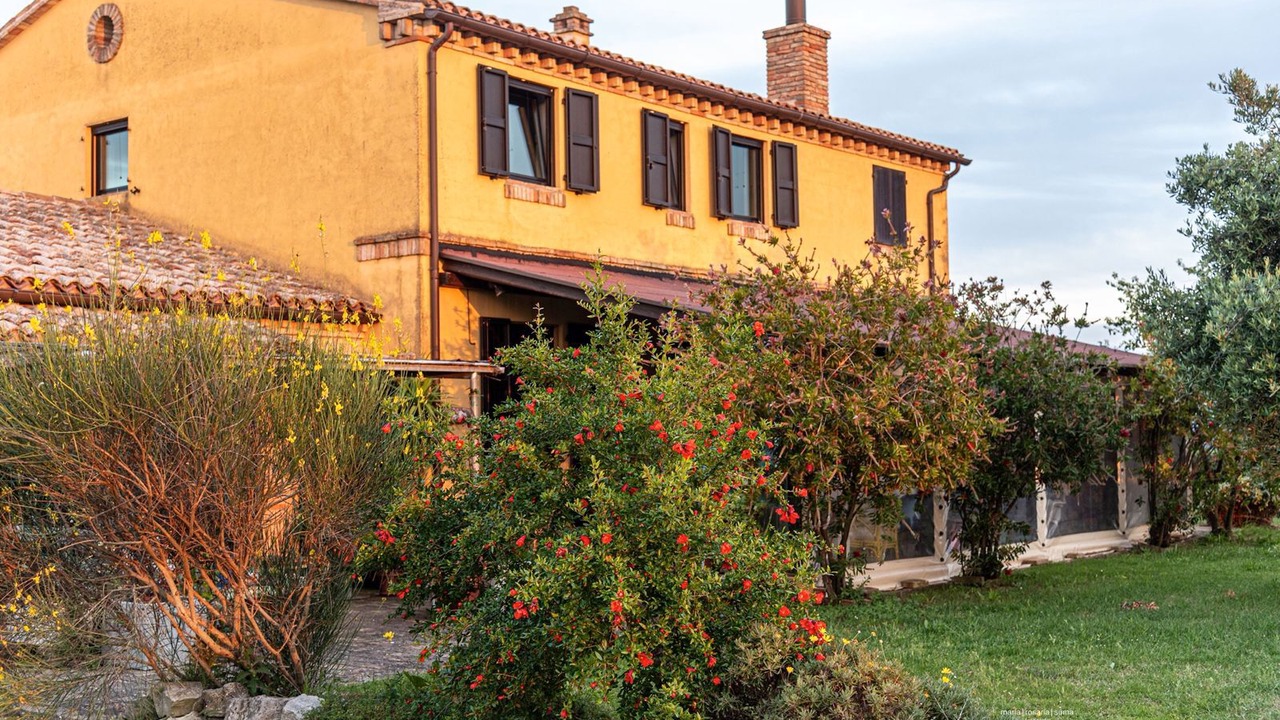 Photo of Outdoor in Castelfidardo