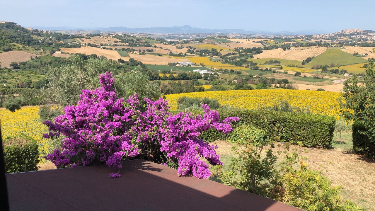 Photo of Others in Castelfidardo