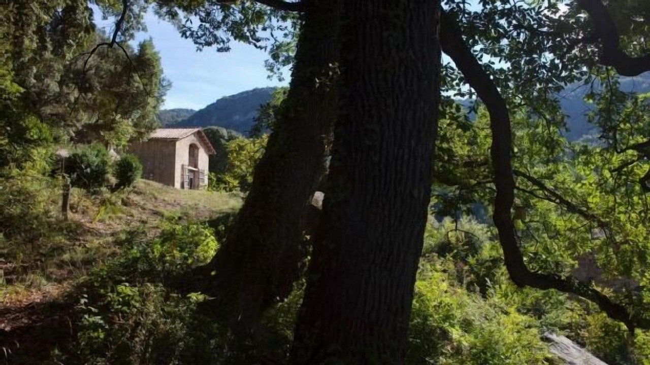 Photo of Outdoor in Tavertet