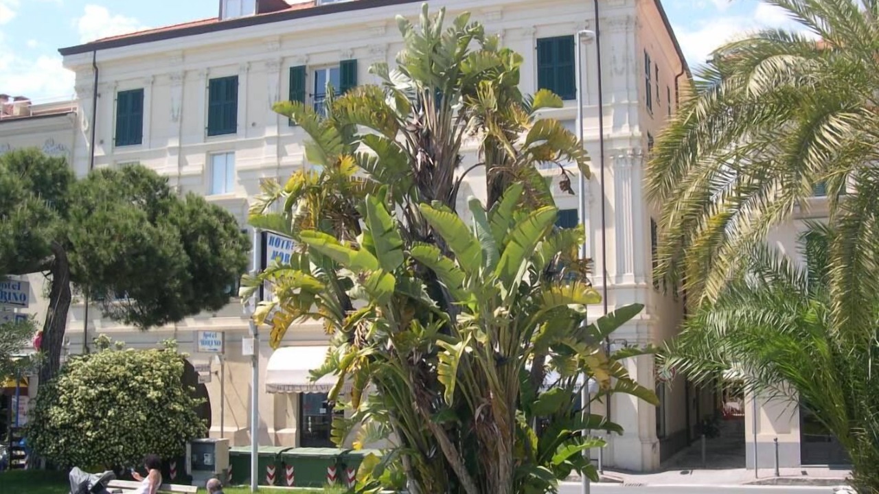 Photo of Others in Diano Marina