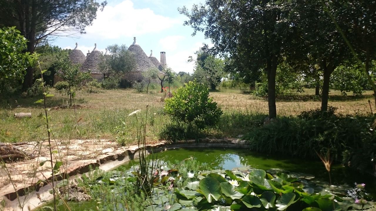 Photo of Outdoor in Cisternino
