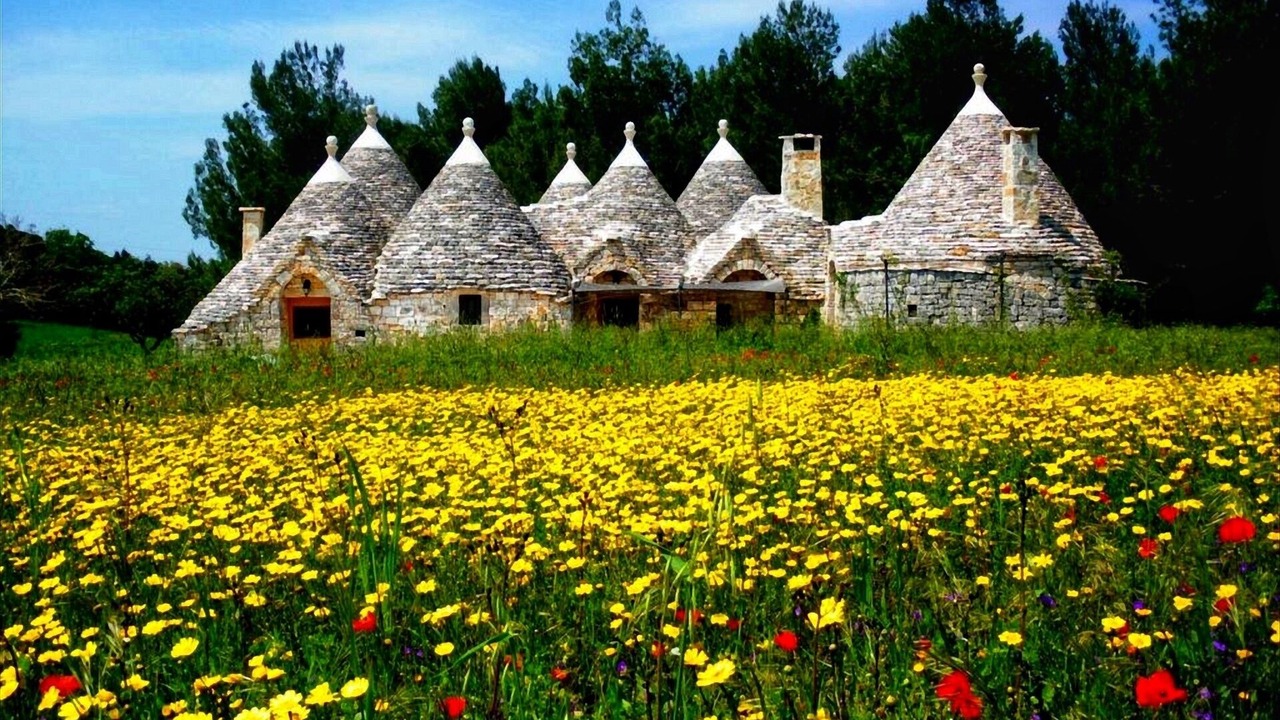 Photo of Outdoor in Cisternino