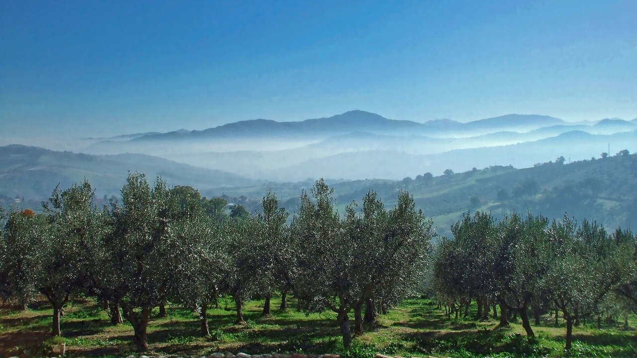 Photo of Outdoor in Casoli
