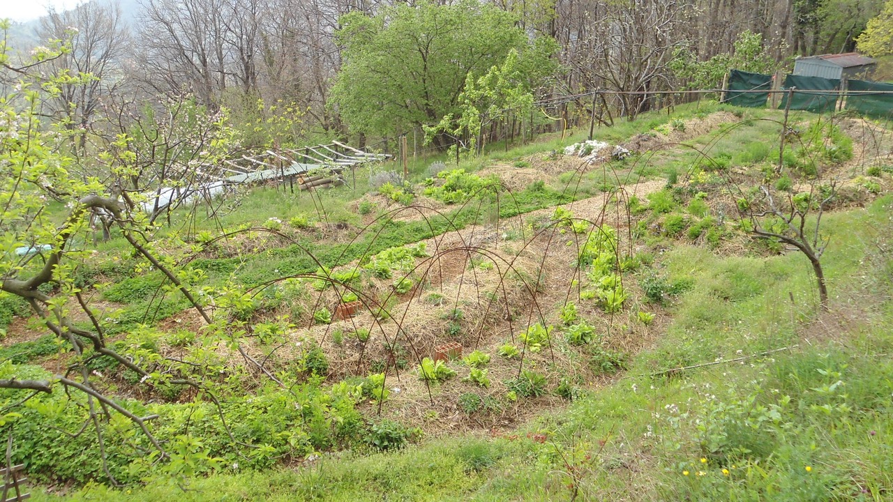 Photo of Outdoor in Varazze