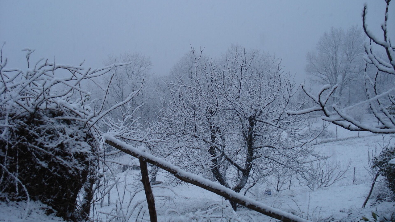 Photo of Others in Varazze