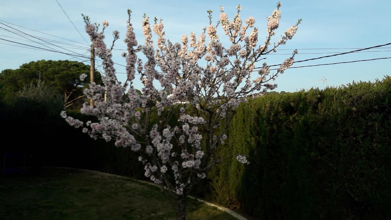 Photo of Outdoor in Vidreres