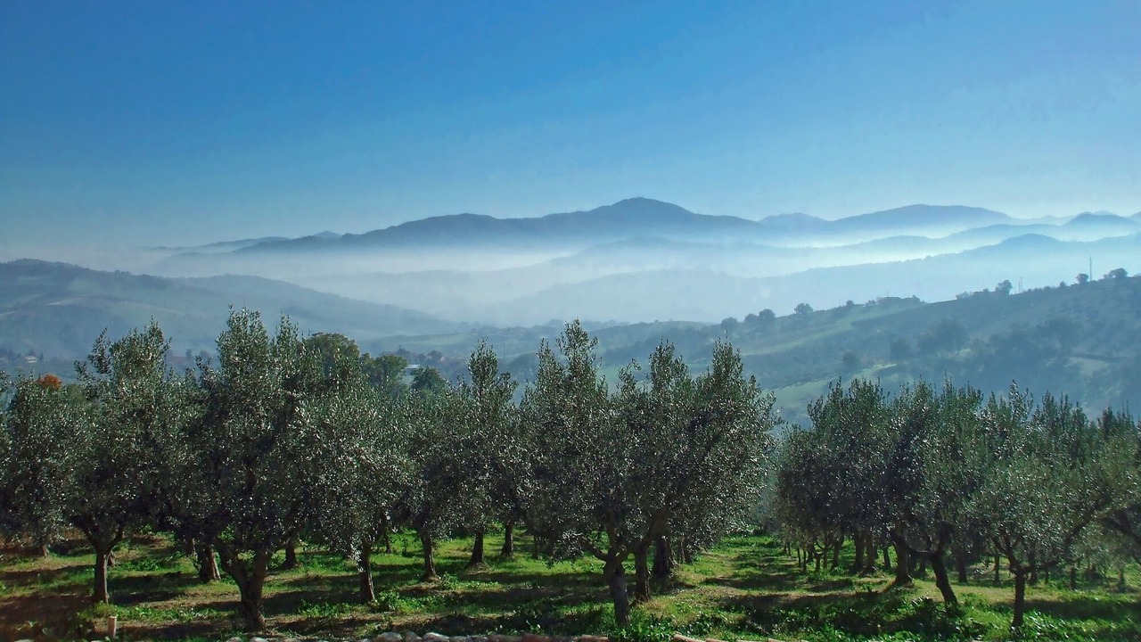 Photo of Outdoor in Casoli