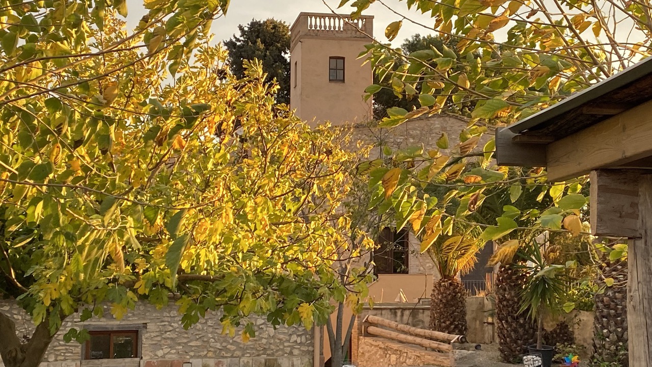 Photo of Outdoor in Vilanova I la Geltru