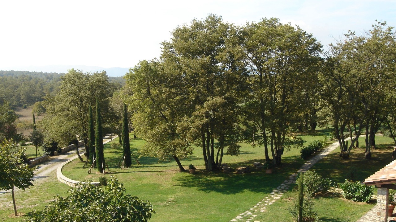 Photo of Outdoor in Montegabbione