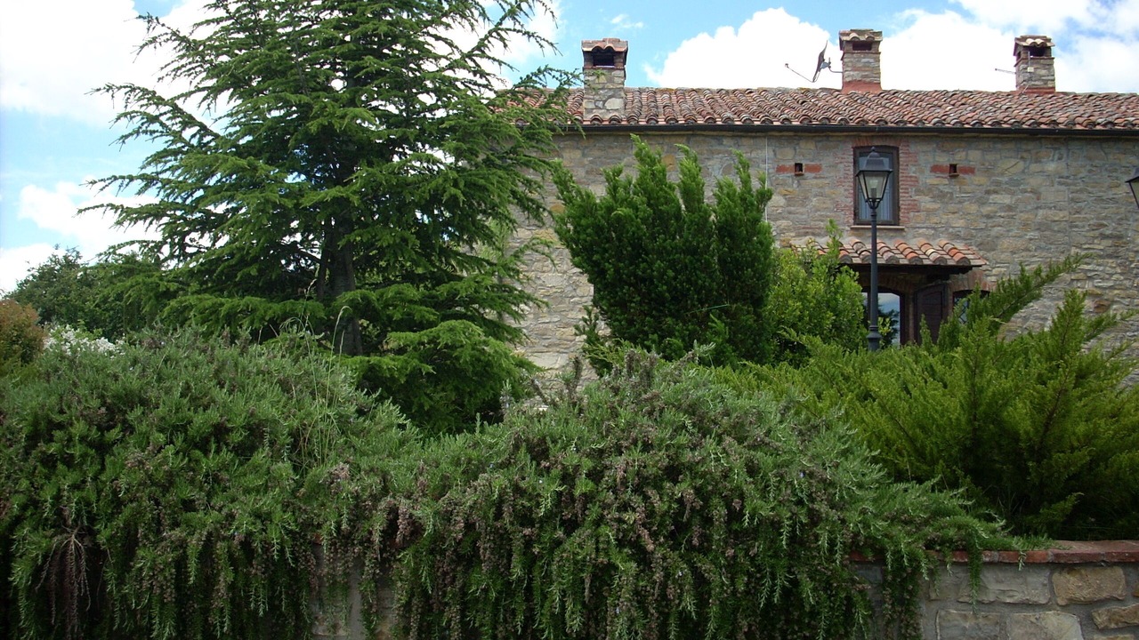 Photo of Outdoor in Montegabbione
