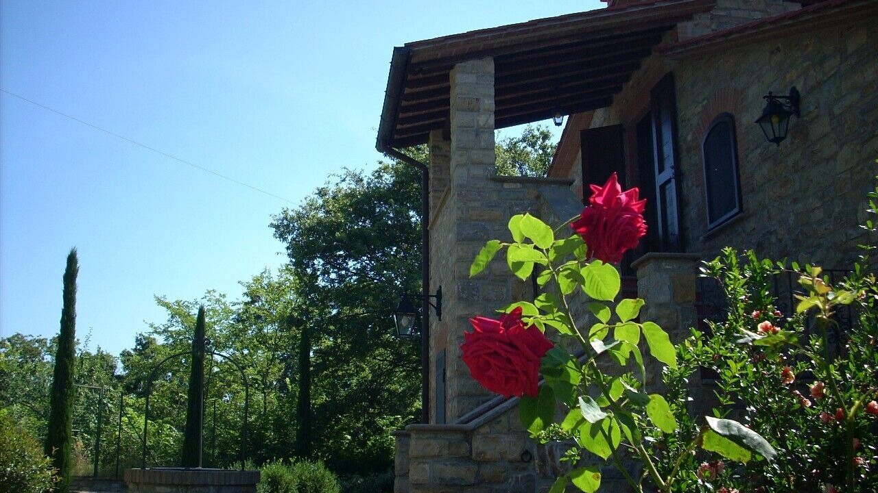 Photo of Outdoor in Montegabbione