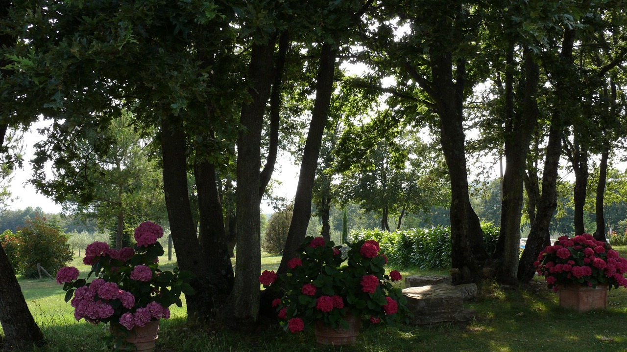 Photo of Outdoor in Montegabbione