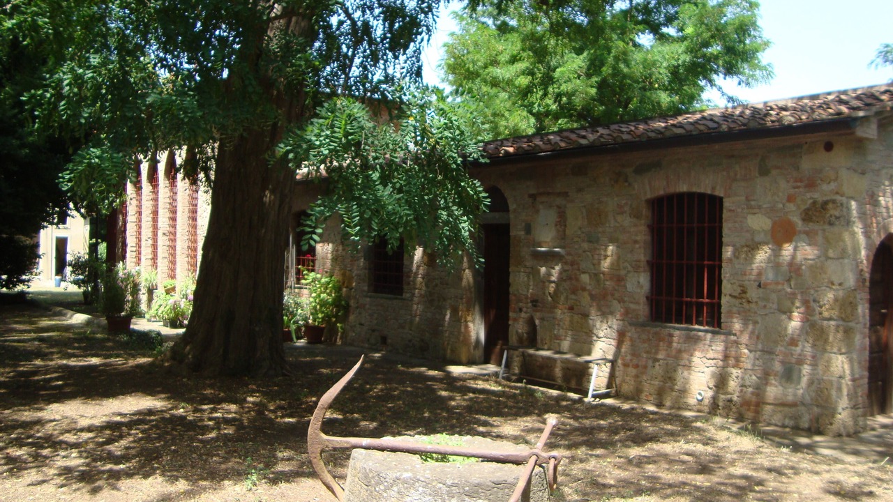 Photo of Outdoor in Fauglia