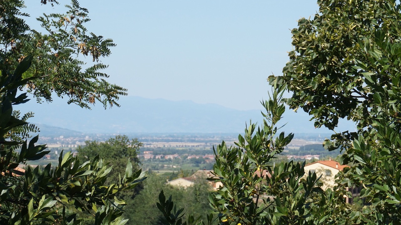 Photo of Outdoor in Fauglia