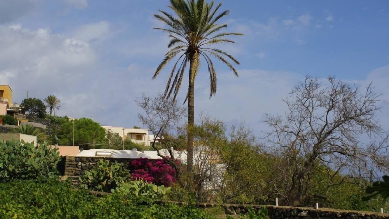 Photo of Outdoor in Kamma